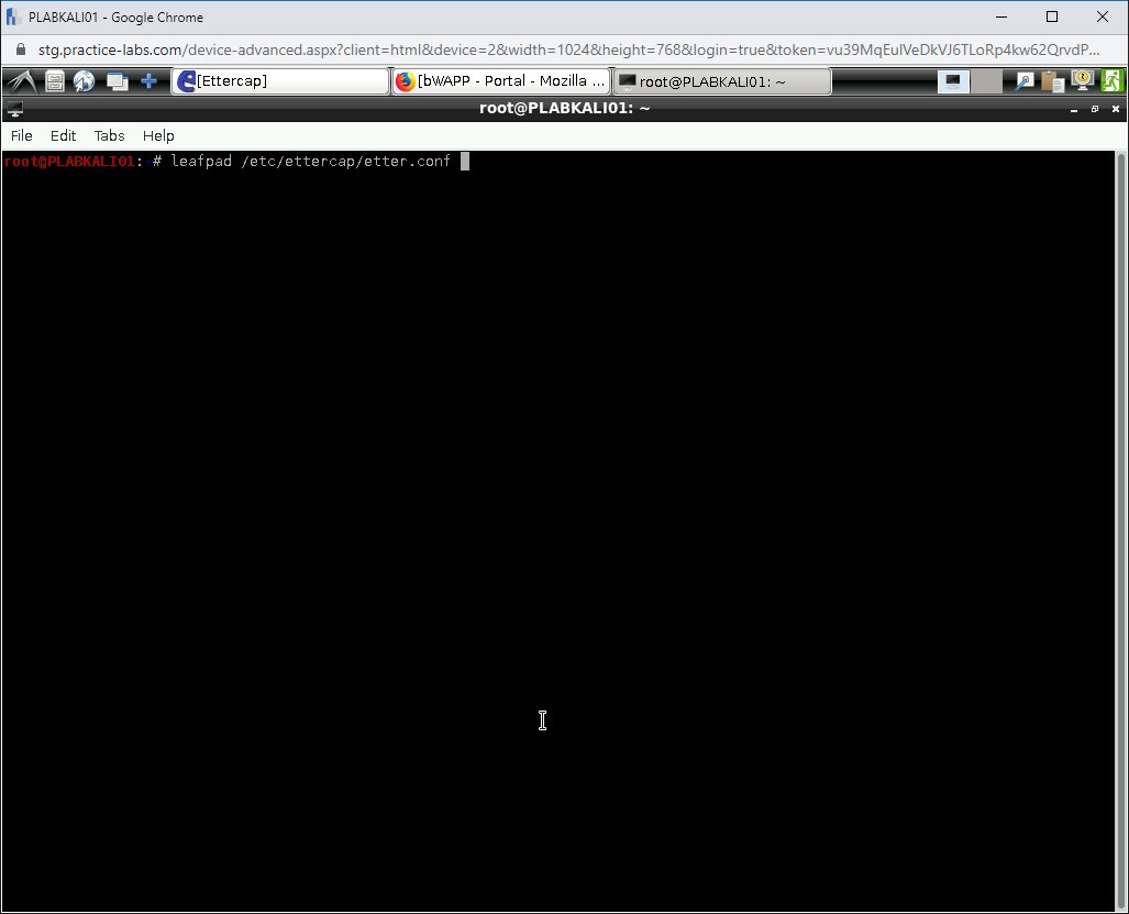 Figure 1.45 Screenshot of PLABKALI01