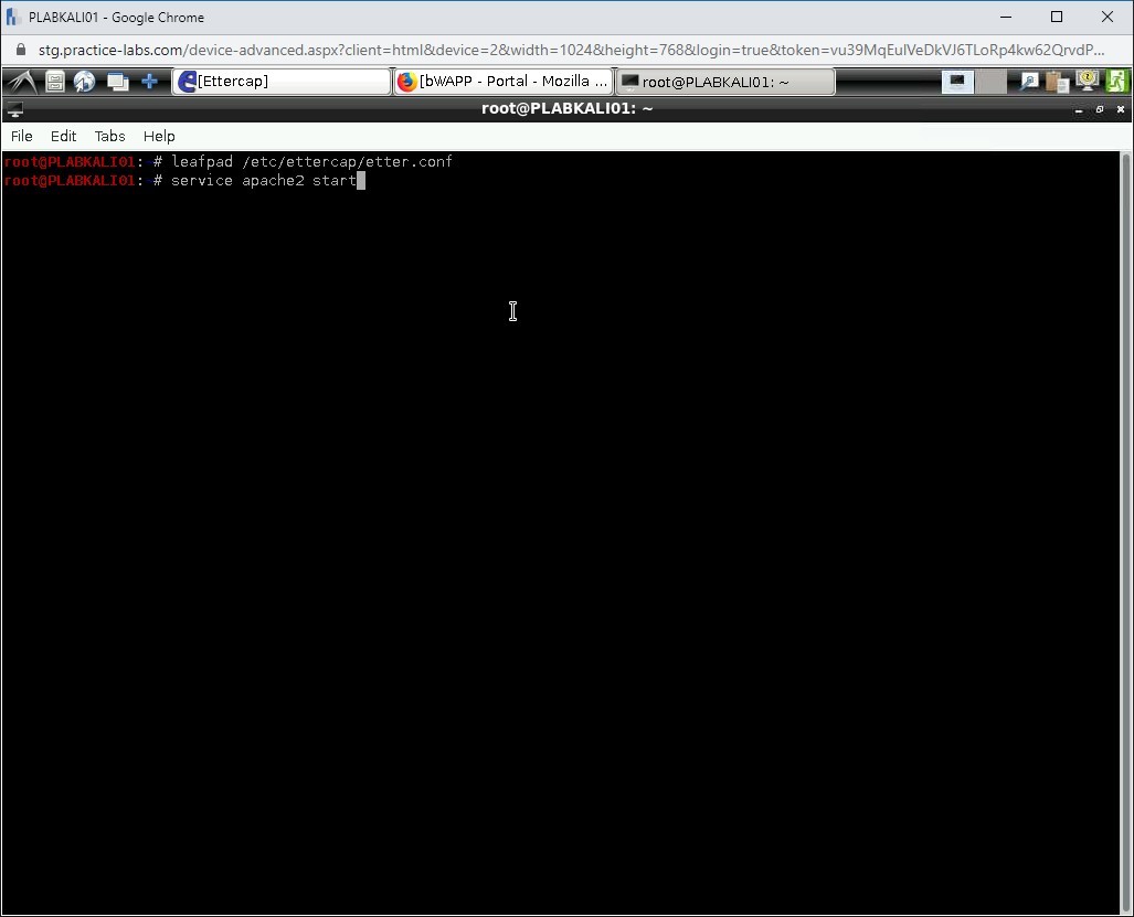 Figure 1.49 Screenshot of PLABKALI01