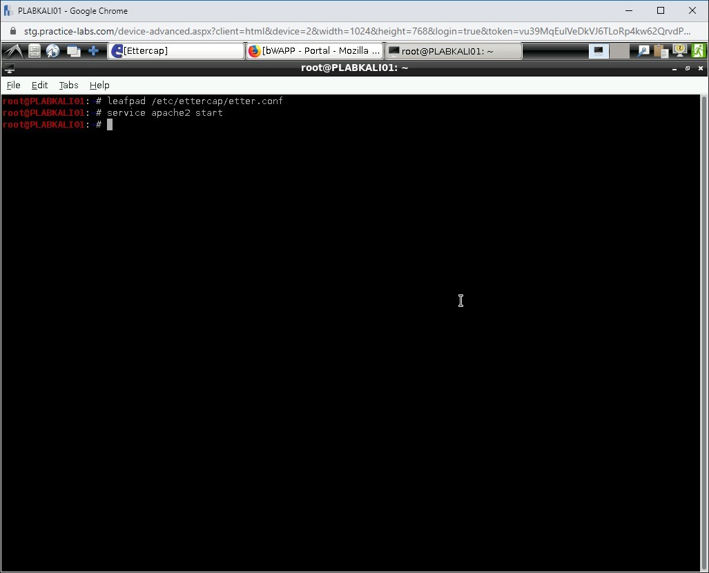 Figure 1.50 Screenshot of PLABKALI01
