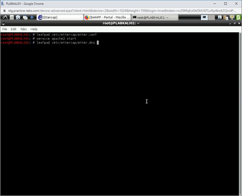 Figure 1.51 Screenshot of PLABKALI01