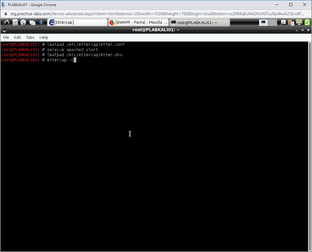 Figure 1.56 Screenshot of PLABKALI01
