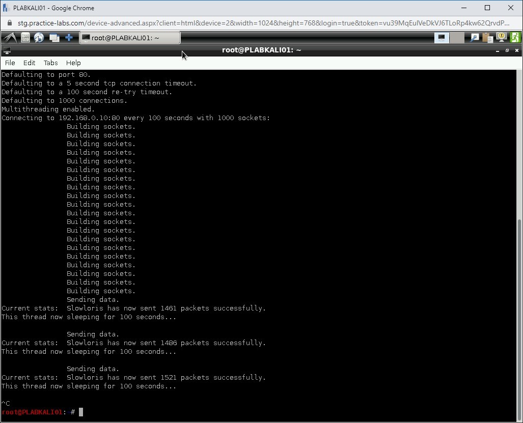Figure 1.7 Screenshot of PLABKALI01