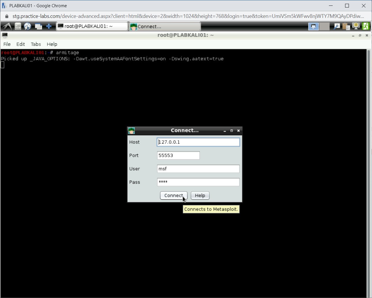 Figure 1.9 Screenshot of PLABKALI01
