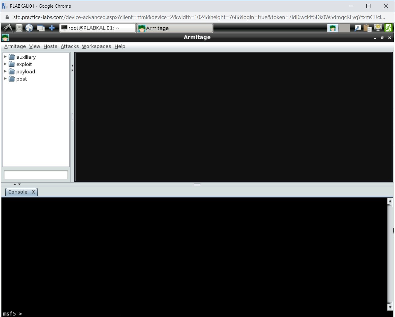 Figure 1.12 Screenshot of PLABKALI01