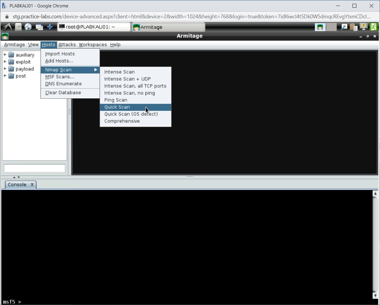 Figure 1.13 Screenshot of PLABKALI01