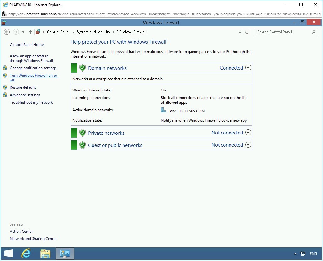 Figure 1.5 Screenshot of PLABWIN810