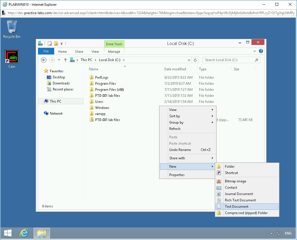 Figure 1.76 Screenshot of PLABWIN810