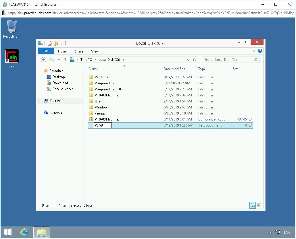 Figure 1.77 Screenshot of PLABWIN810
