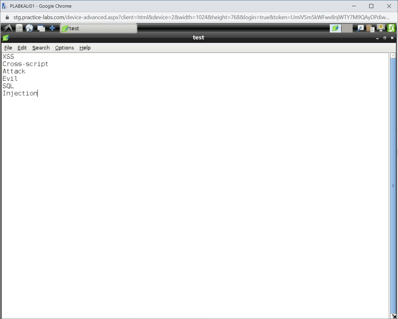 Figure 1.101 Screenshot of PLABKALI01