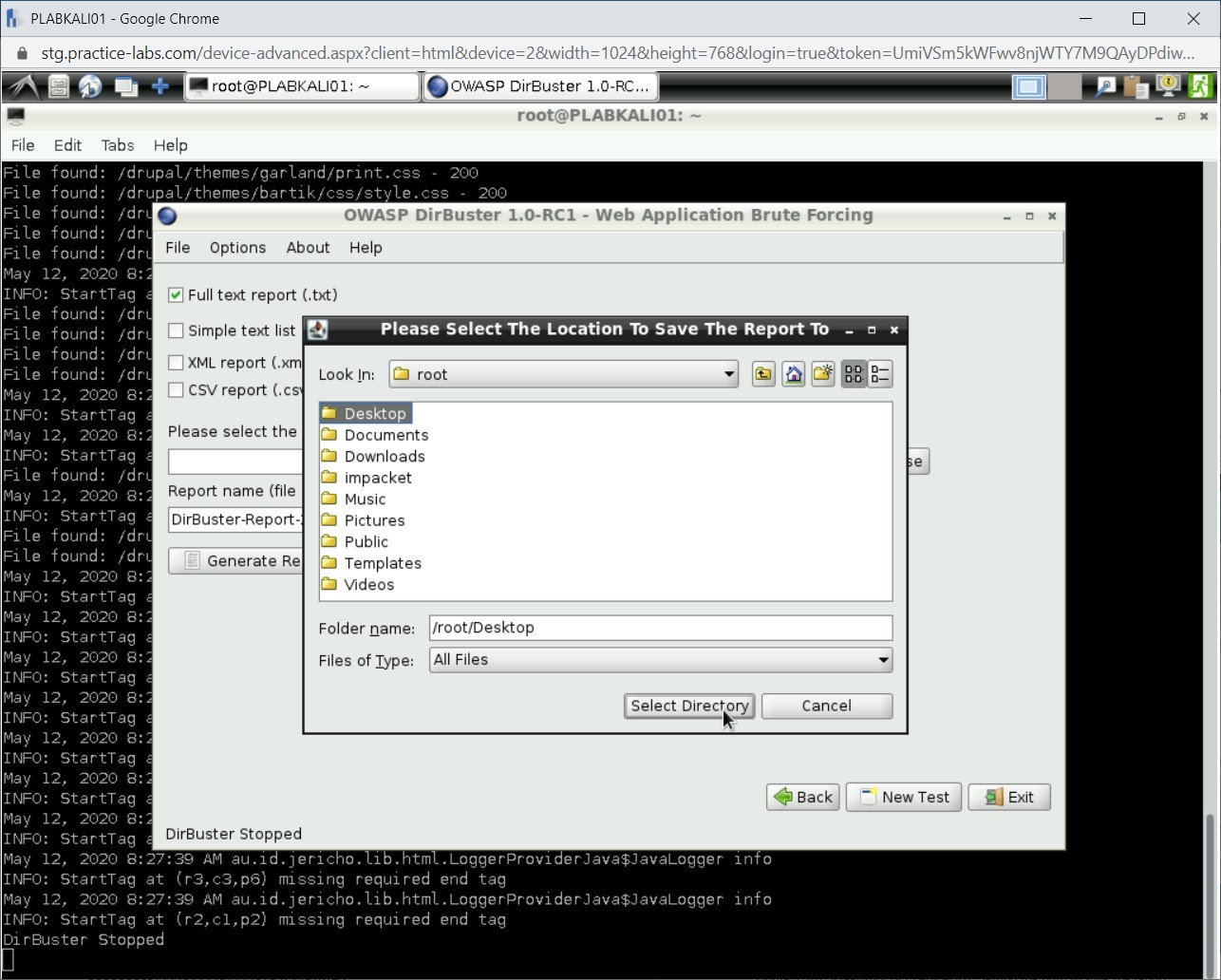 Figure 1.109 Screenshot of PLABKALI01 Showing the discovered files and directories.