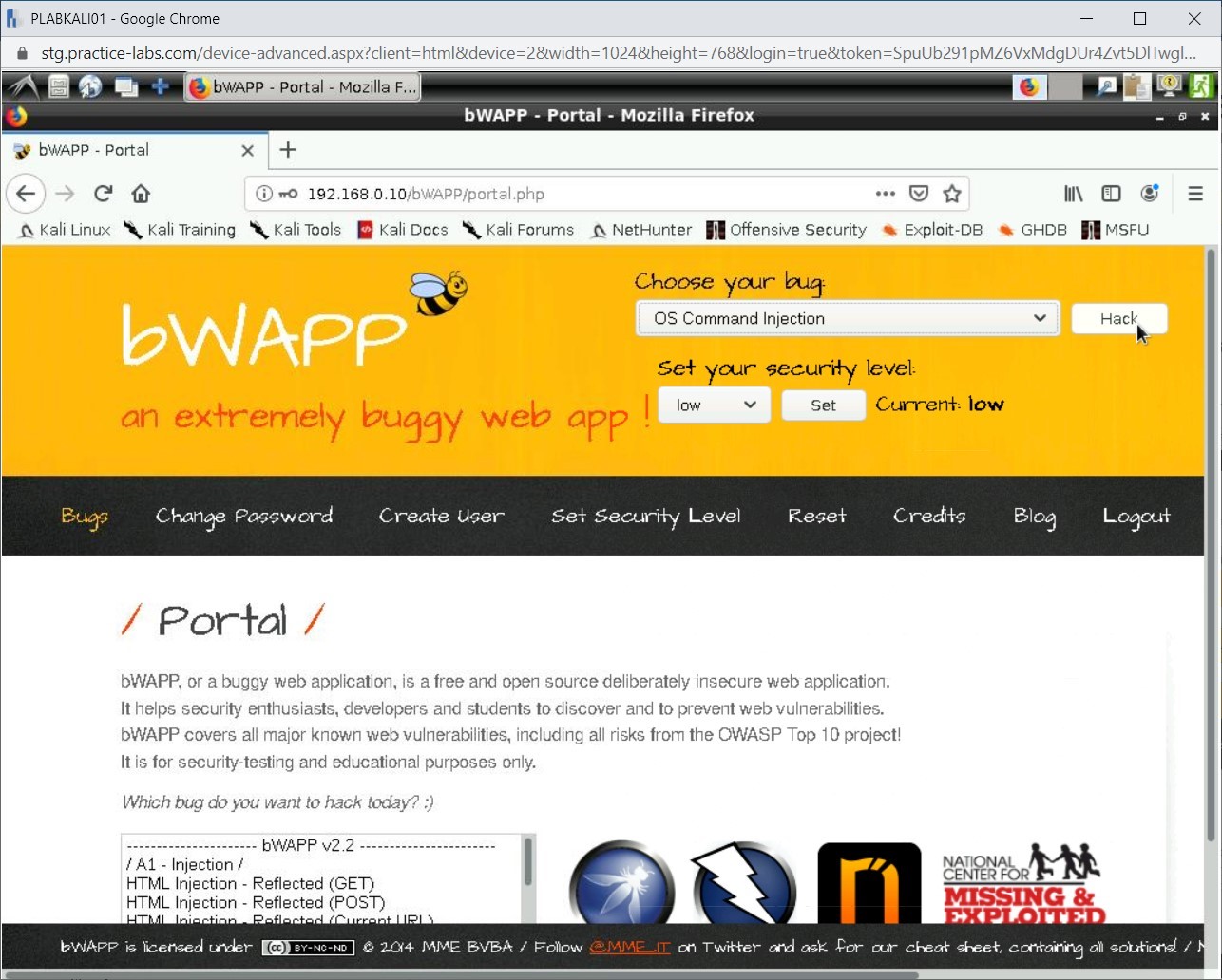 Figure 1.53 Screenshot of PLABKALI01