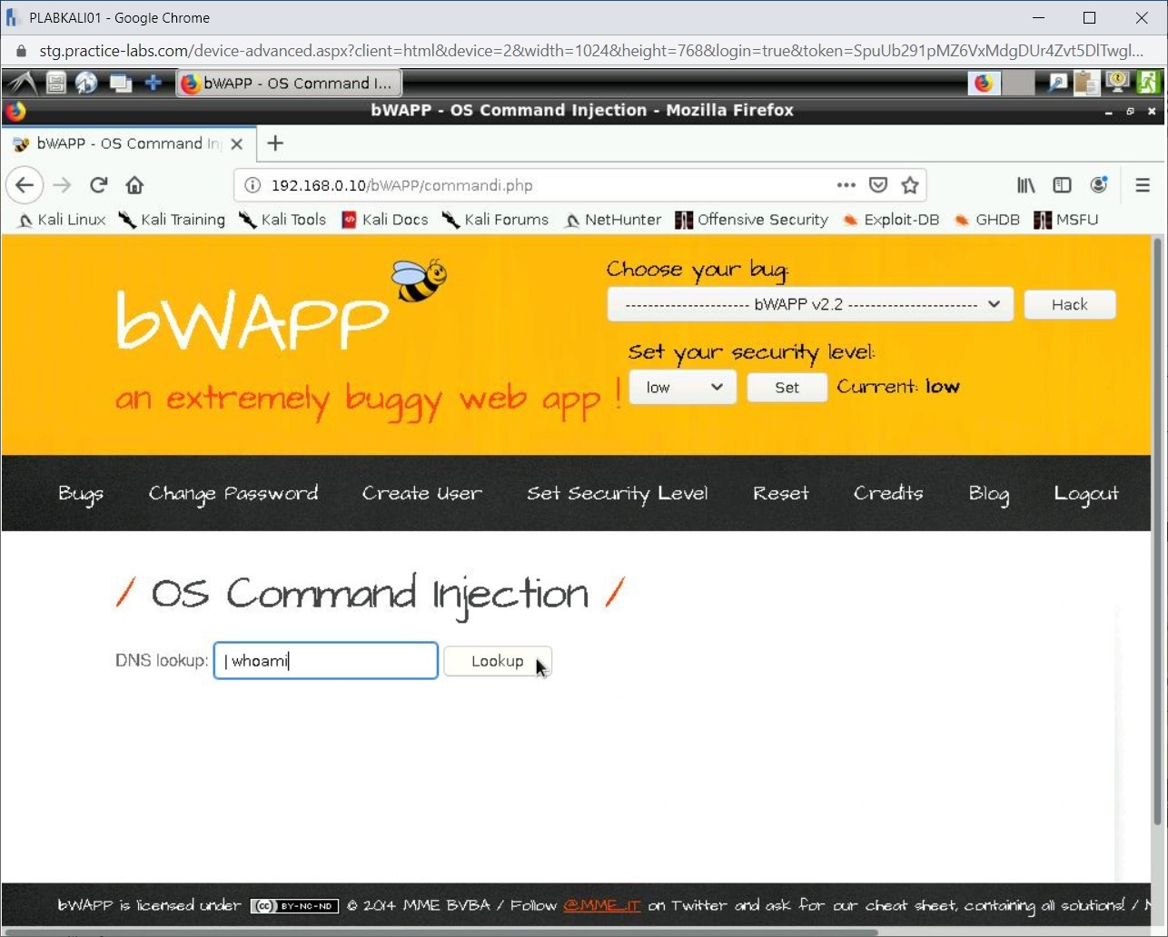Figure 1.54 Screenshot of PLABKALI01