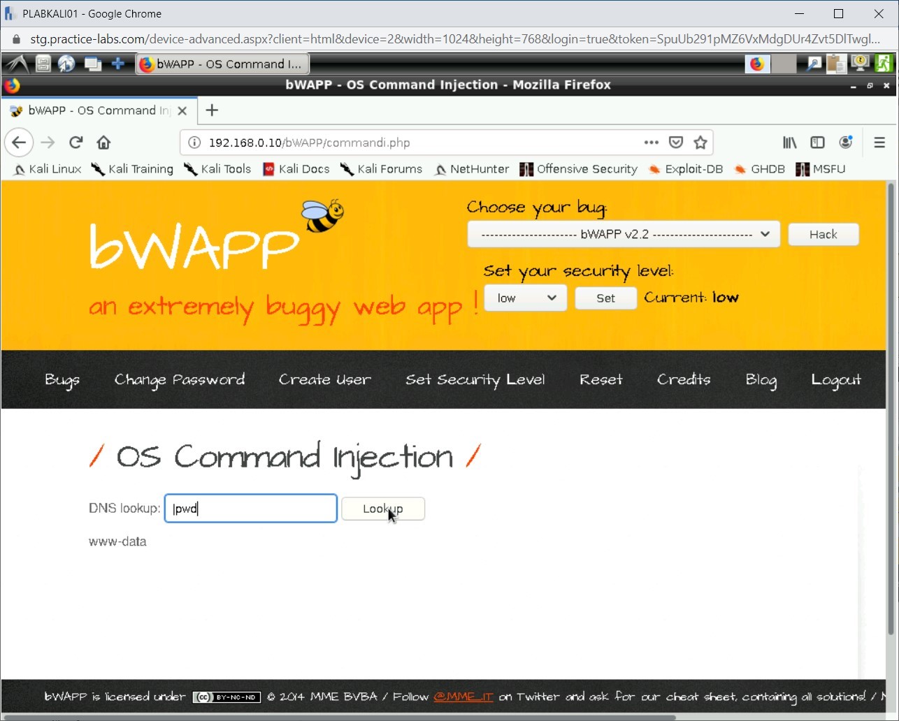Figure 1.56 Screenshot of PLABKALI01