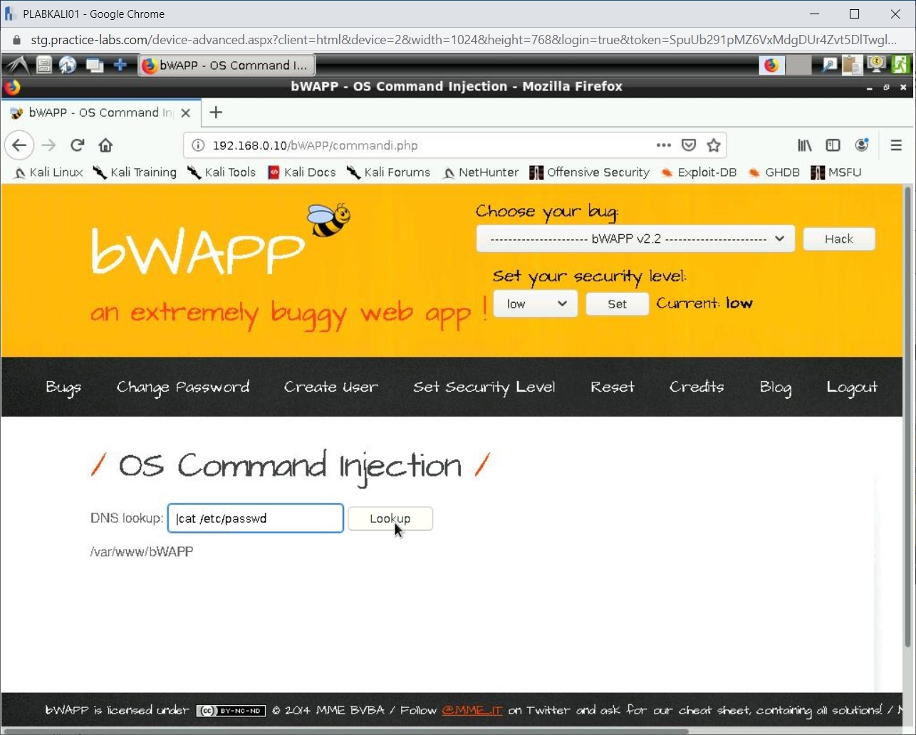 Figure 1.58 Screenshot of PLABKALI01
