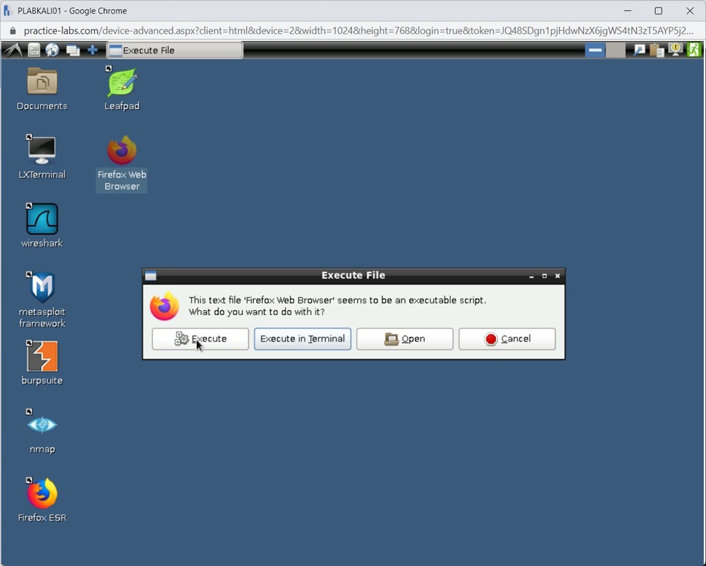 Figure 1.90 Screenshot of PLABKALI01