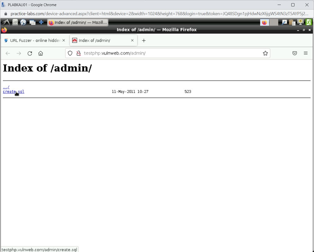 Figure 1.96 Screenshot of PLABKALI01