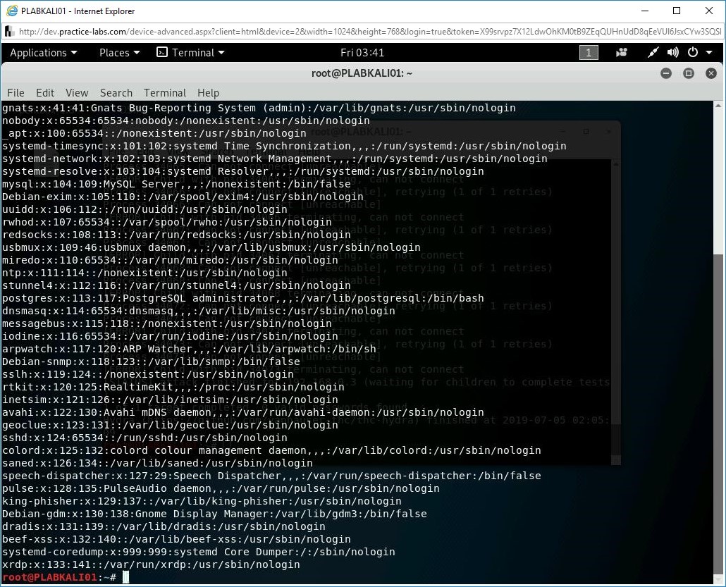 Figure 2.1 Screenshot of PLABKALI01