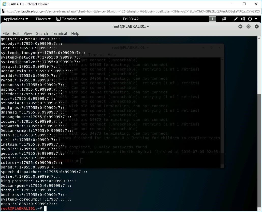 Figure 2.2 Screenshot of PLABKALI01