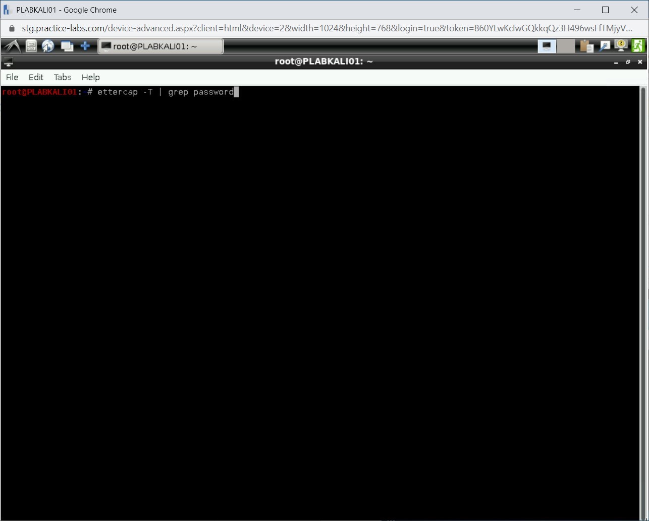 Figure 2.7 Screenshot of PLABKALI01
