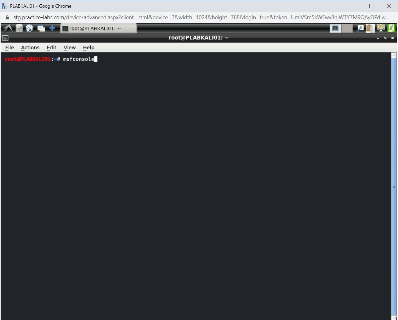 Figure 2.15 Screenshot of PLABKALI01