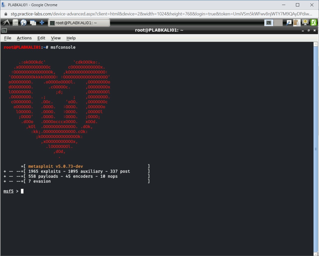 Figure 2.16 Screenshot of PLABKALI01