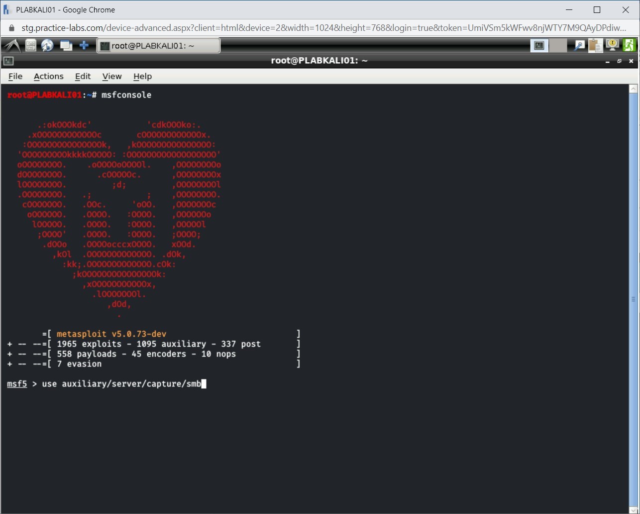 Figure 2.17 Screenshot of PLABKALI01