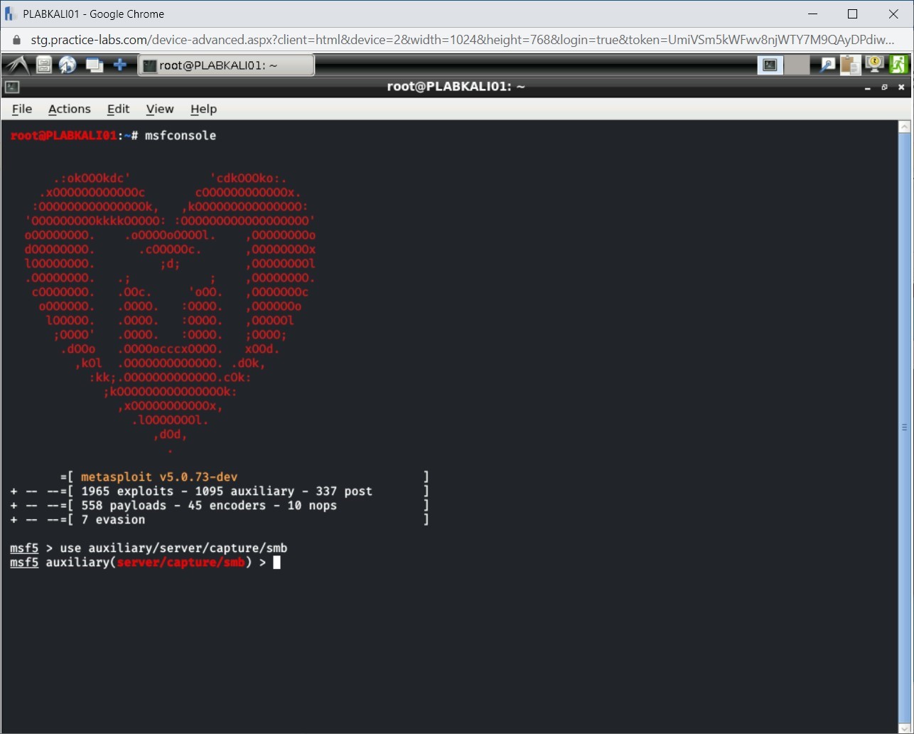 Figure 2.18 Screenshot of PLABKALI01