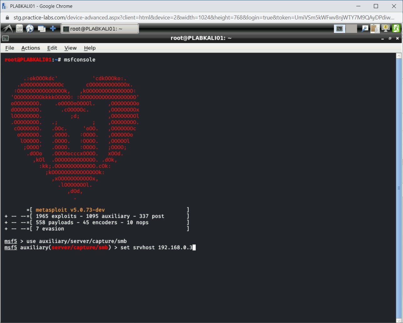 Figure 2.19 Screenshot of PLABKALI01