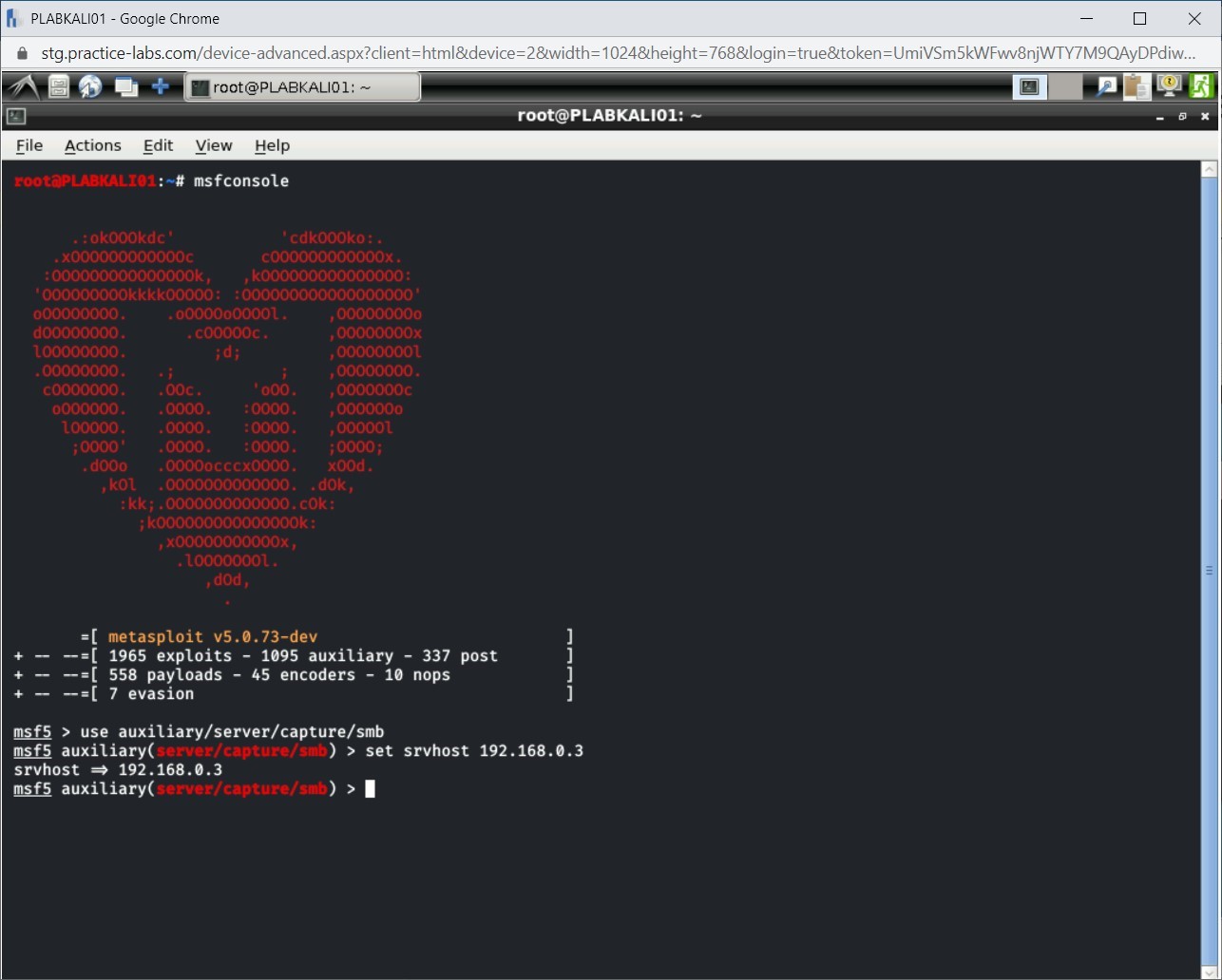 Figure 2.20 Screenshot of PLABKALI01