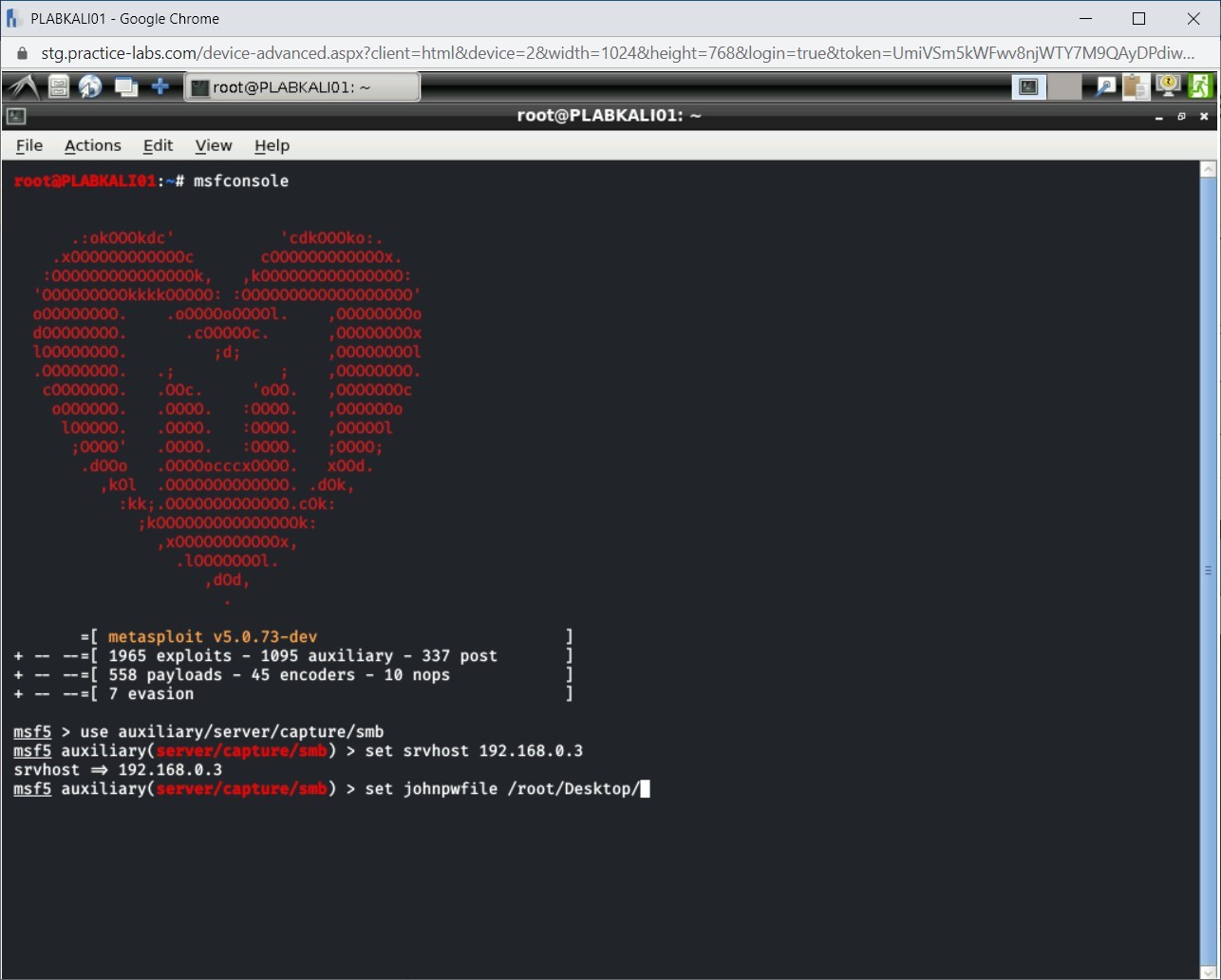 Figure 2.21 Screenshot of PLABKALI01