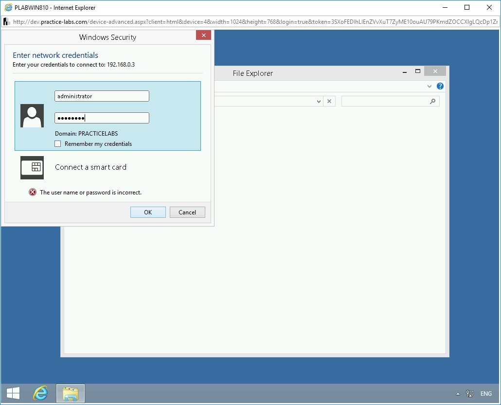 Figure 2.28 Screenshot of PLABWIN810