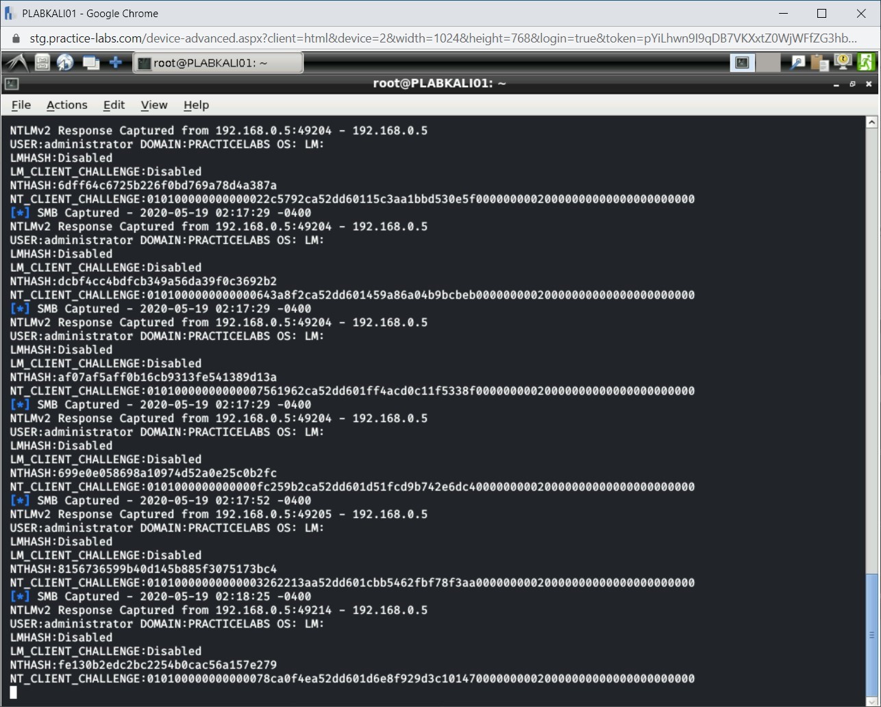 Figure 2.29 Screenshot of PLABKALI01