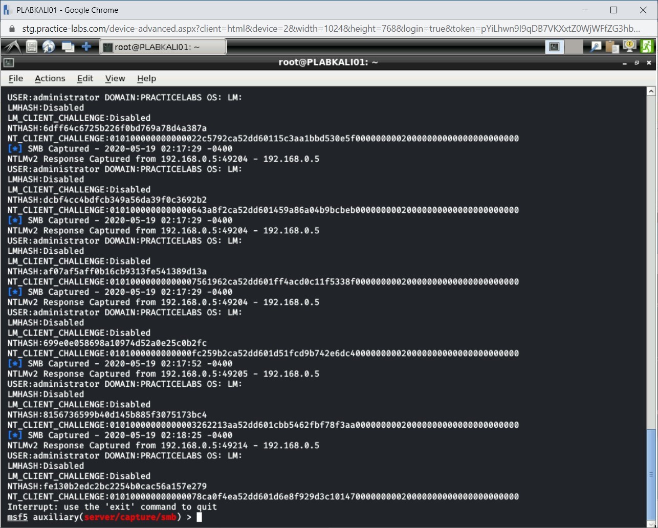 Figure 2.30 Screenshot of PLABKALI01