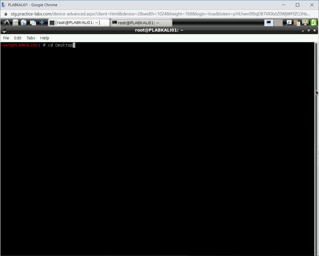 Figure 2.31 Screenshot of PLABKALI01