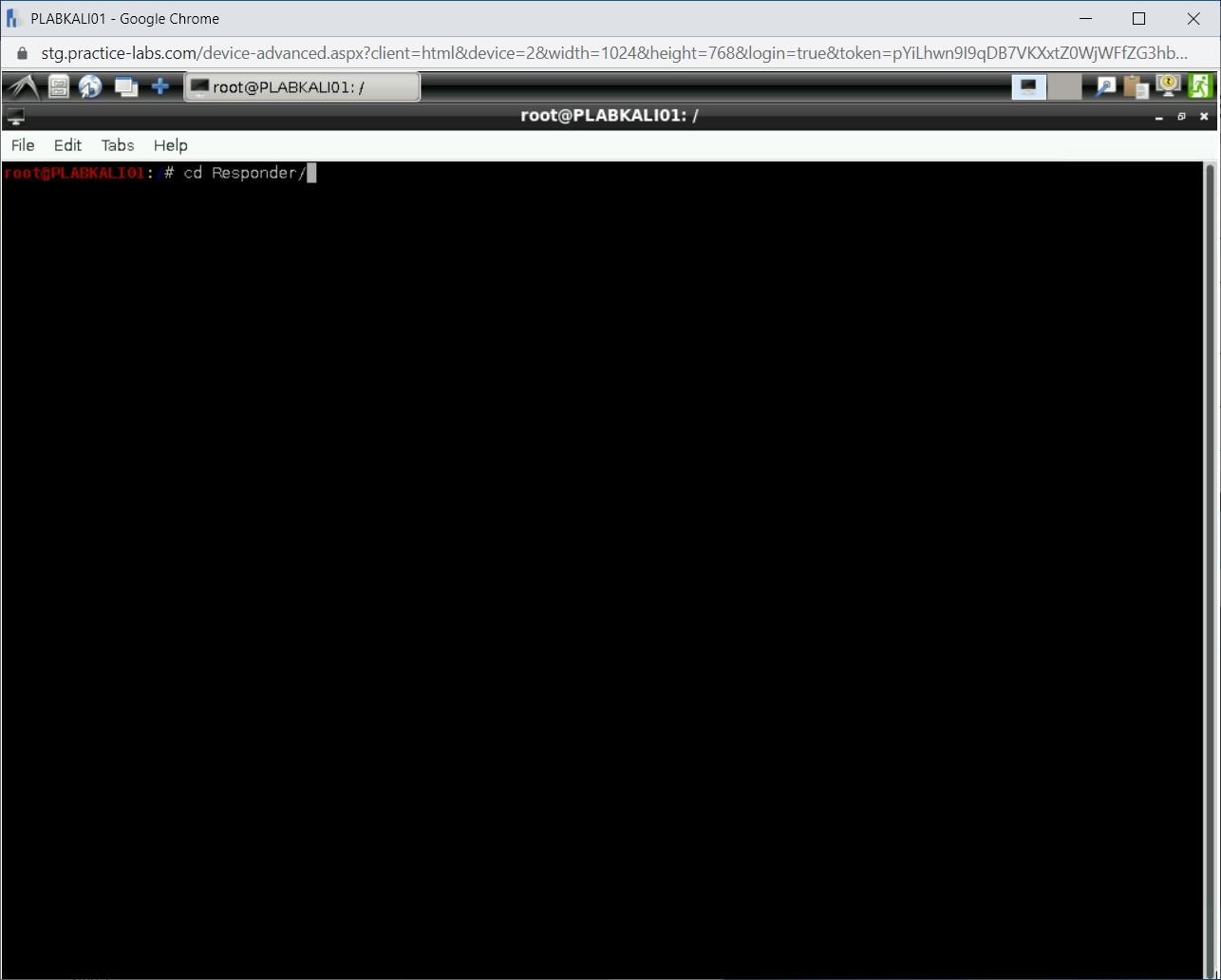 Figure 2.38 Screenshot of PLABKALI01