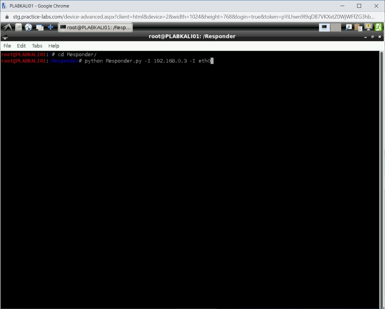 Figure 2.39 Screenshot of PLABKALI01