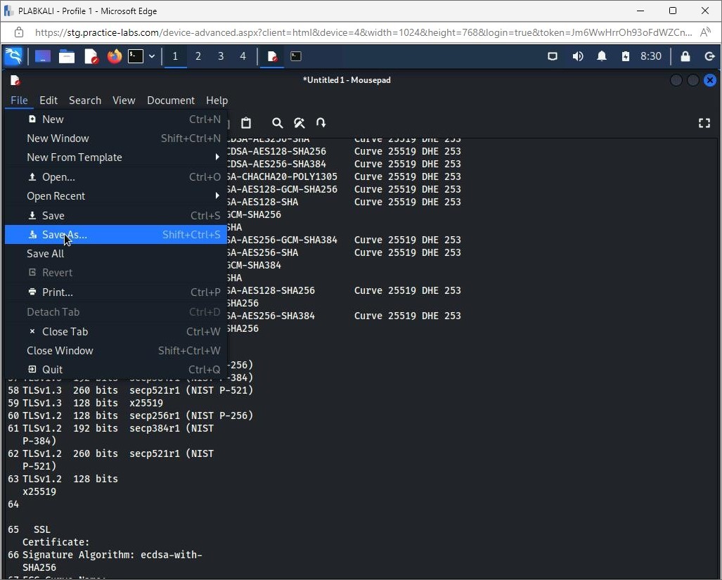 Figure 1.22 Screenshot of PLABWIN10: Displaying the Reconnaissance Data Collection.txt file.