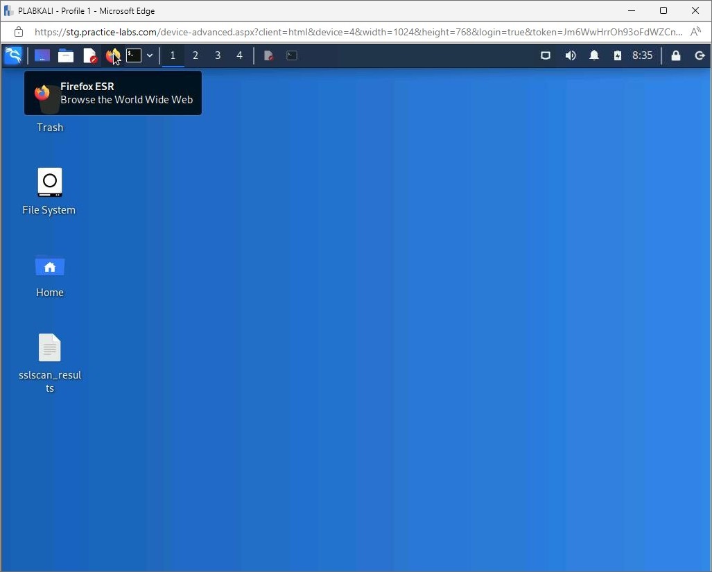 Figure 1.24 Screenshot of PLABWIN10: Displaying Microsoft Edge and typing “nslookup.io” into the URL bar.