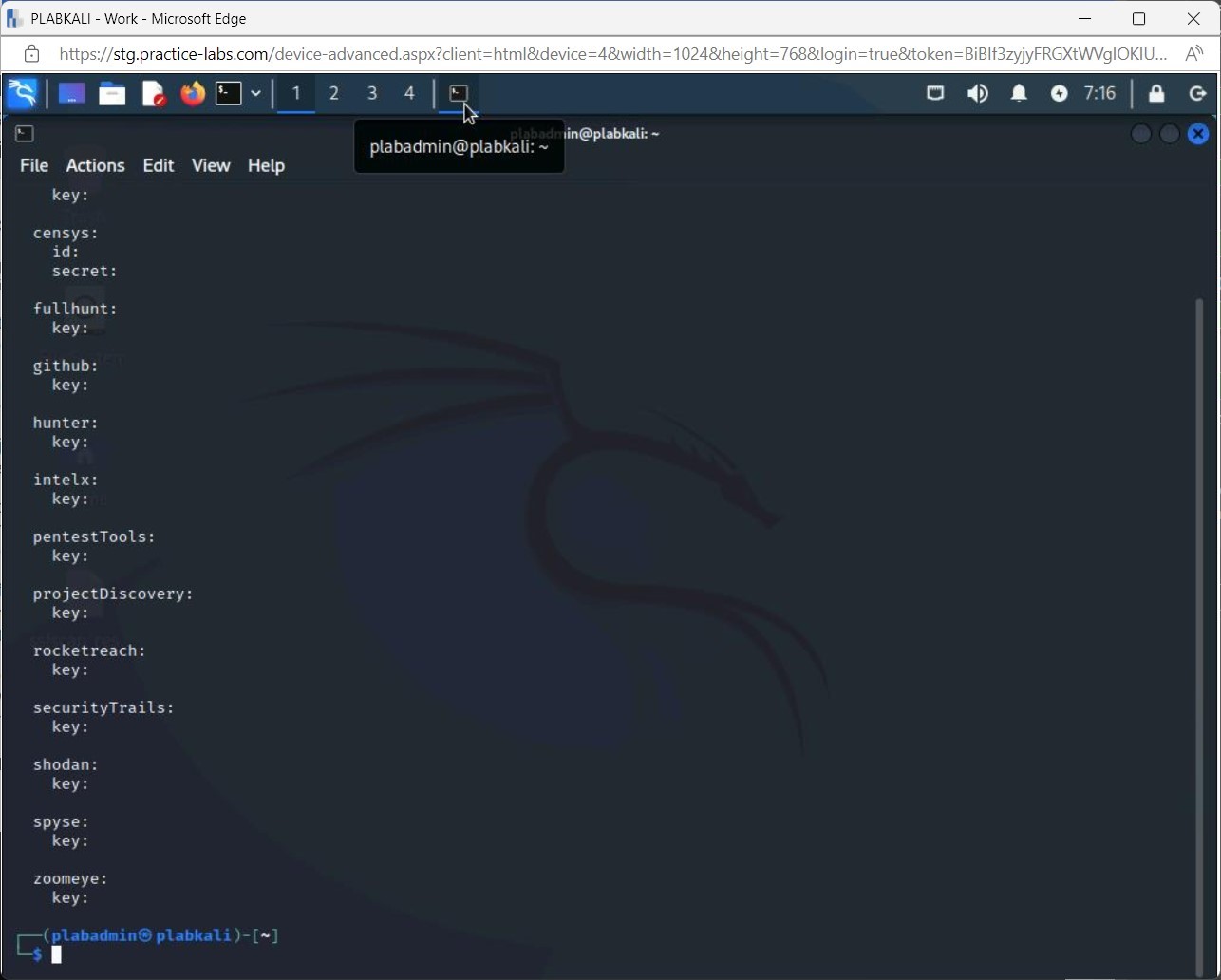 Figure 1.39 Screenshot of PLABKALI: Saving the Mousepad Text Editor to the PLABKALI desktop as “sslscan_results”.