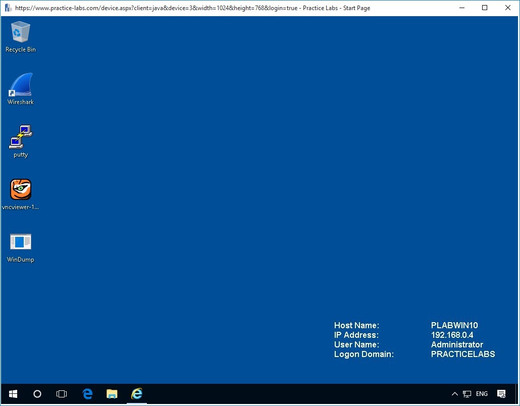 Figure 1.1. Screenshot of PLABWIN10