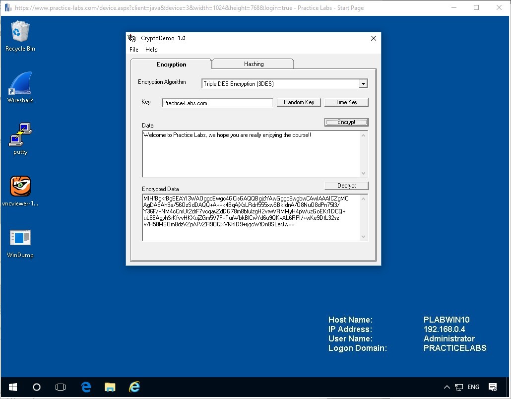 Figure 1.11. Screenshot of PLABWIN10
