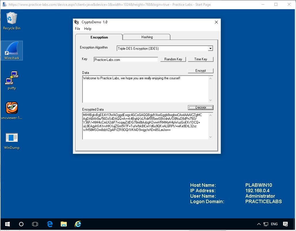 Figure 1.13. Screenshot of PLABWIN10