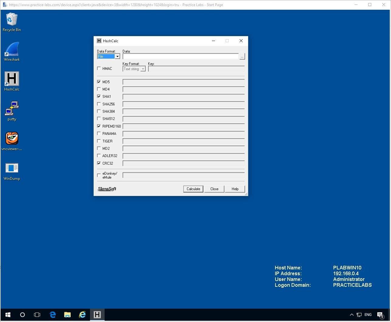 Figure 2.4. Screenshot of PLABWIN10