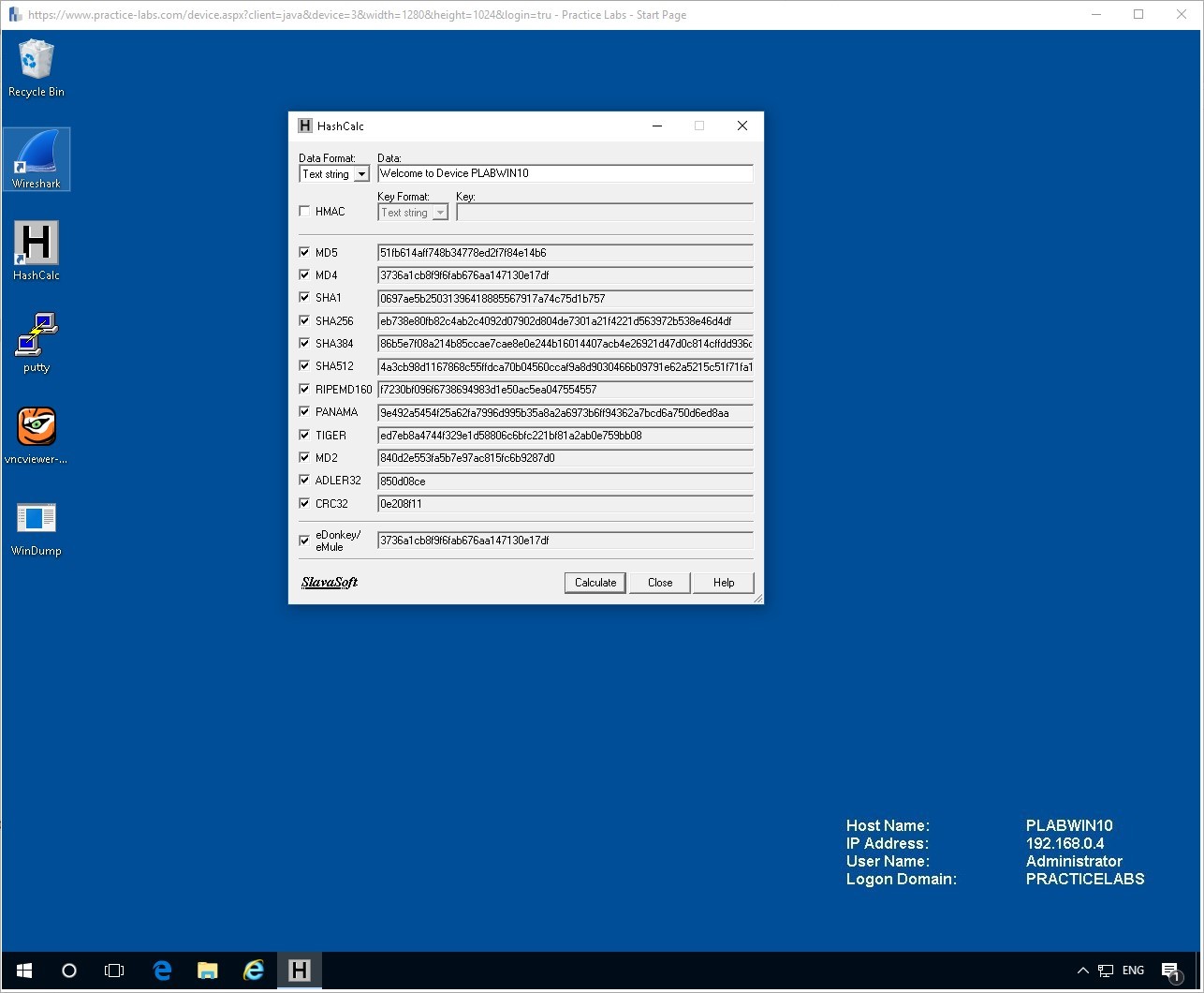 Figure 2.6. Screenshot of PLABWIN10
