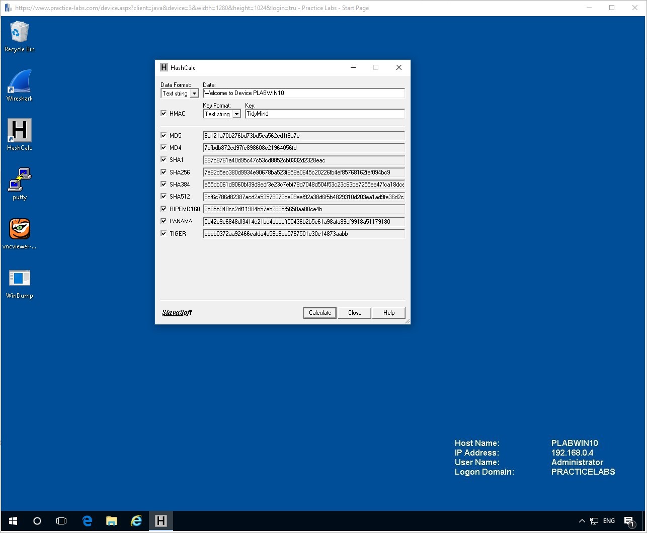 Figure 2.7. Screenshot of PLABWIN10