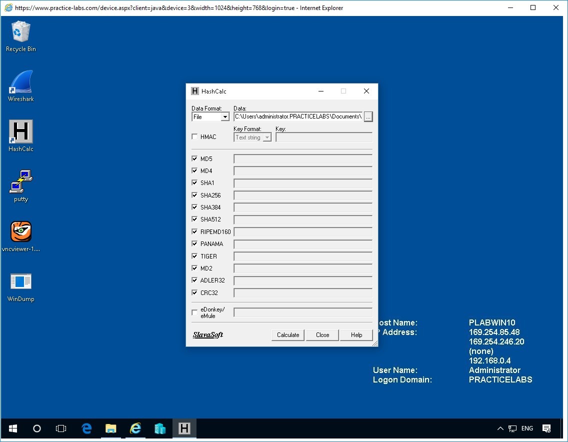 Figure 2.9. Screenshot of PLABWIN10