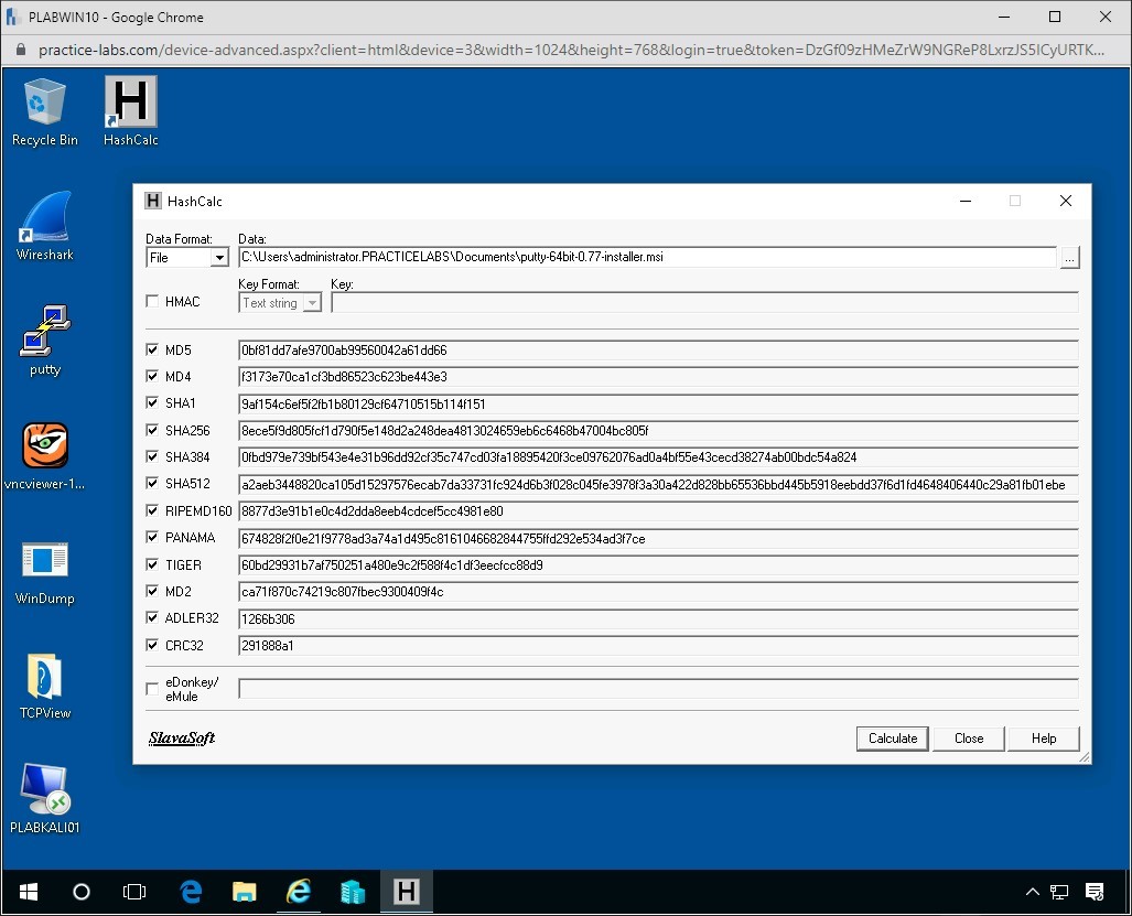 Figure 2.10. Screenshot of PLABWIN10