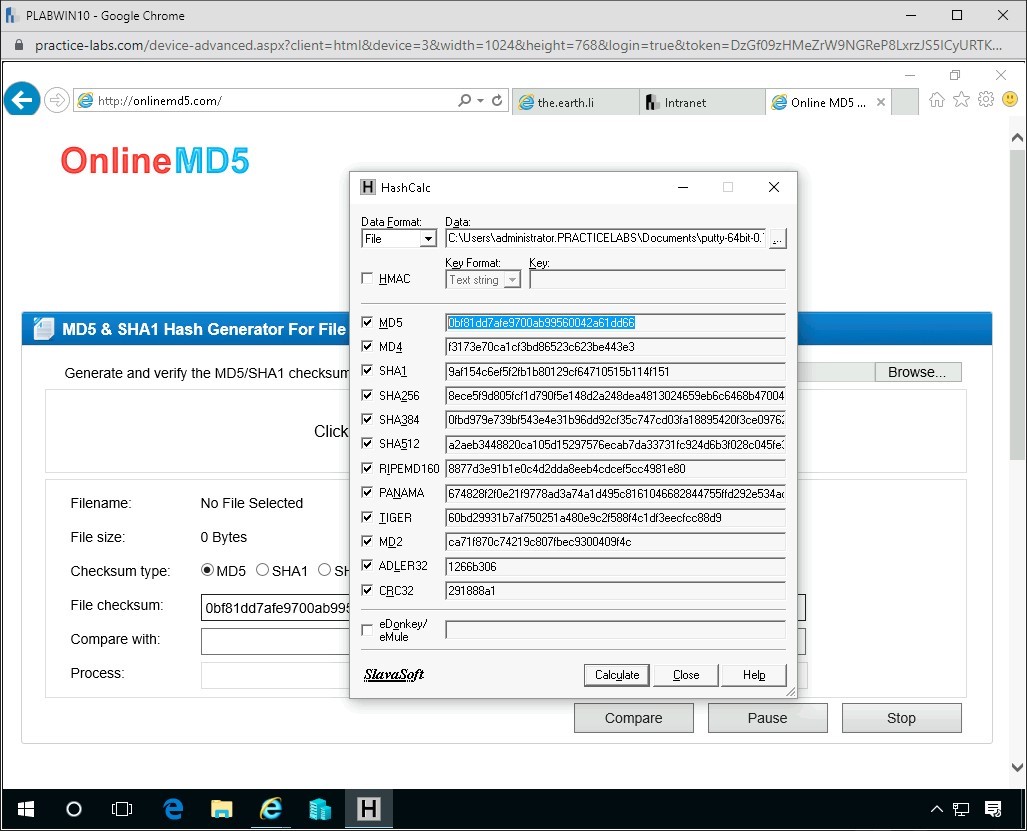 Figure 3.4. Screenshot of PLABWIN10