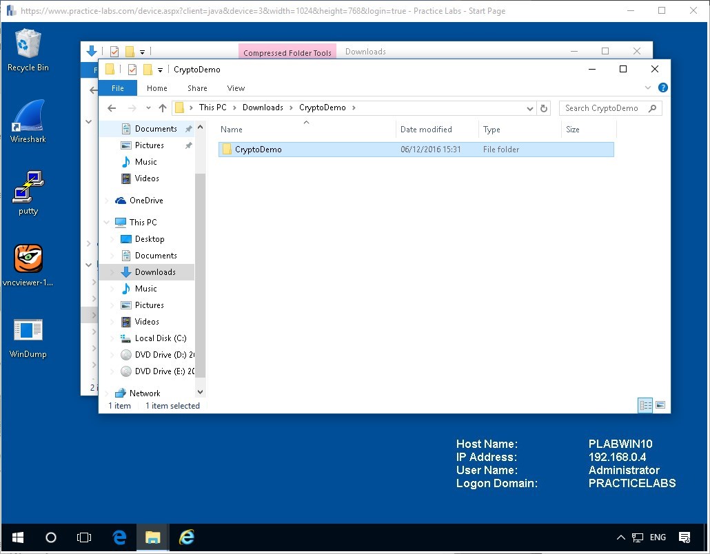 Figure 1.4. Screenshot of PLABWIN10