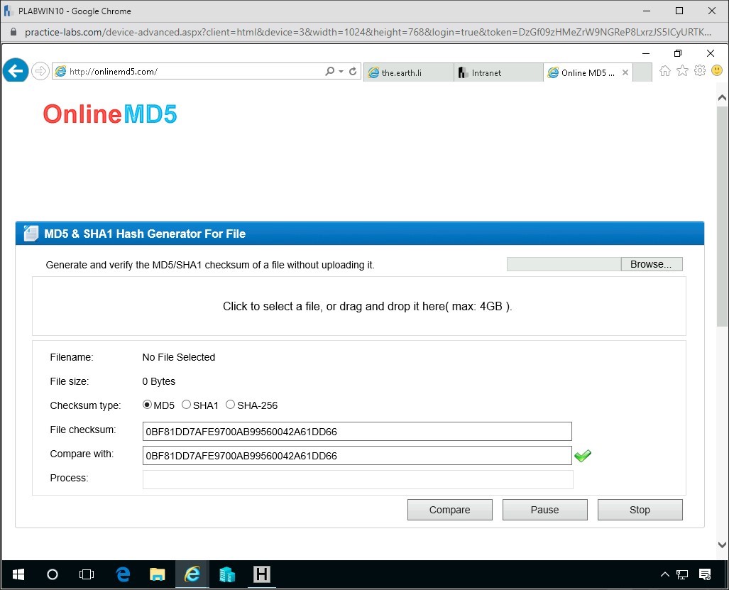 Figure 3.5. Screenshot of PLABWIN10